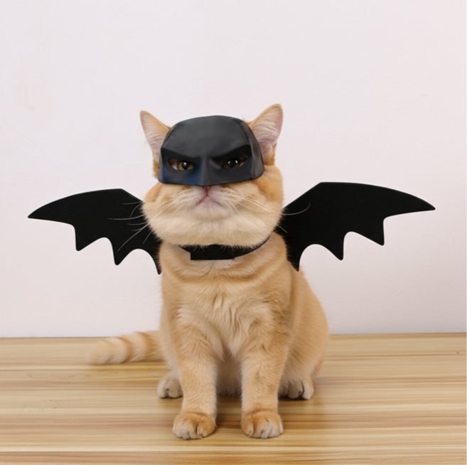 개꿀굿즈 고양이 배트맨 날개 가면 마스크 집사 선물