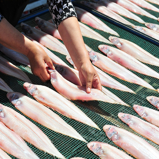 수산대장 군산 반건조박대 특대 왕박대 흰살생선 구이 반찬 서대, 5개, 35~37cm(1kg내외 )왕특