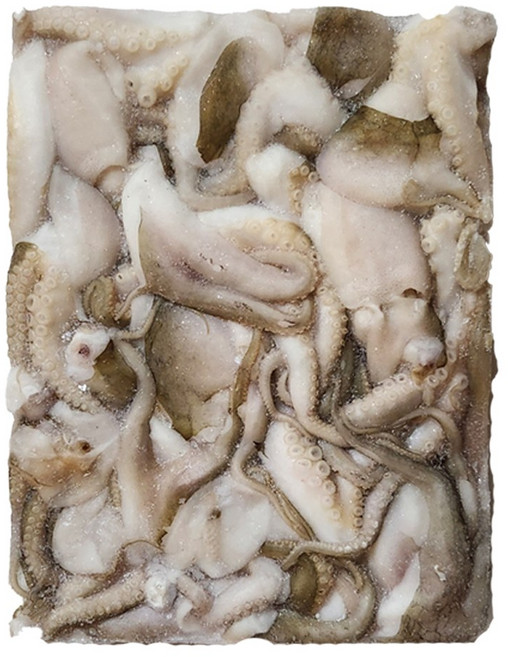 절단 쭈꾸미 [ M / L ] 5.4kg (900g x 6p), 절단쭈꾸미 [ 2L ], 1박스