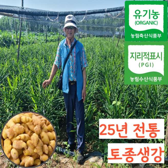 [프리미엄] 25년 국산 유기농 햇 토종 조선 완주 봉동 흙 생강, 1개, 1kg