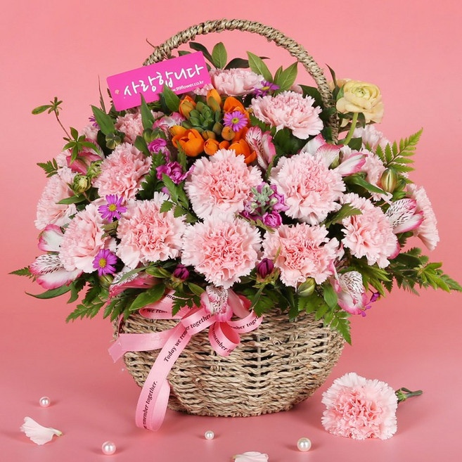 (오늘도착) 어버이날 카네이션 꽃바구니 핑크카네이션 생화 부모님선물 어버이날선물 카네이션꽃바구니 효도선물 부모님꽃선물 당일꽃배달 [ST-A1870]
