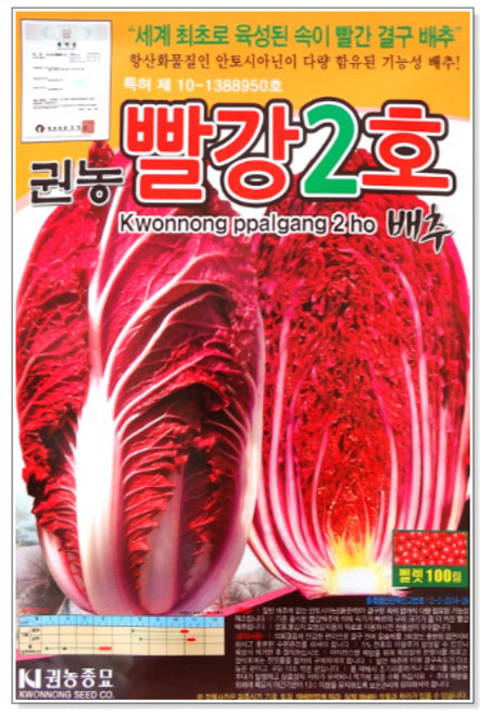 세인화분 빨강 2호 배추 100립 - 씨 씨앗, 1개