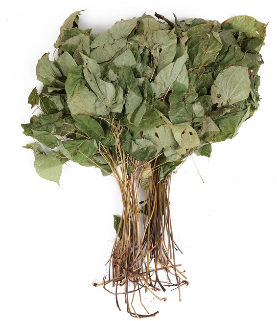 신선약초 국산 음양곽 50g / 삼지구엽초, 1개