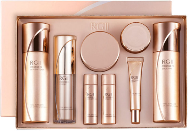 다나한 알지투 프레스티지 이엑스 4종 세트, 1세트