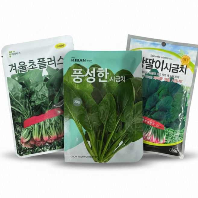 월동 시금치 씨앗 3종세트 섬초 재래종 땅딸이시금치 잎넓은시금치 동초, 1세트