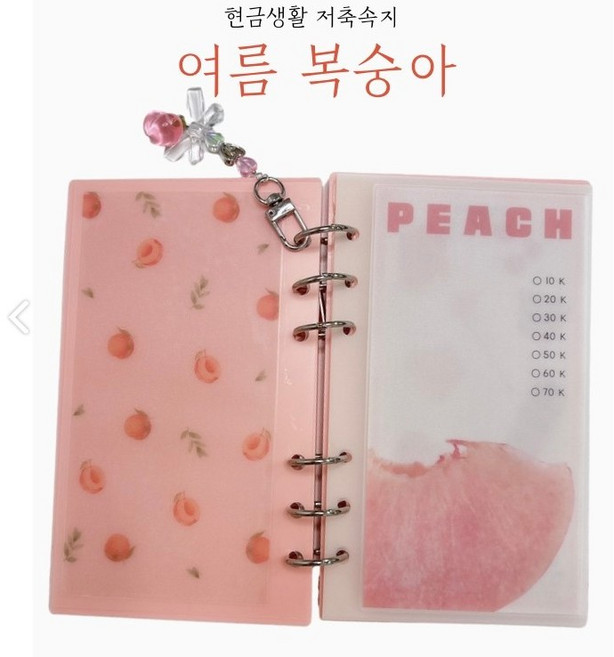 알록달록소품샵 여름복숭아+아크릴바인더 set 현금생활챌린지, 투명바인더, 1개