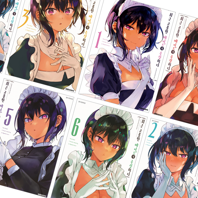 최근 고용한 메이드가 수상하다 만화책 1~6권, 2권