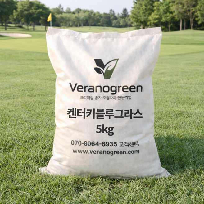 양잔디 씨앗 켄터키블루그라스 종자 5kg 골프장 정원용 과수원 초생재배, 1개