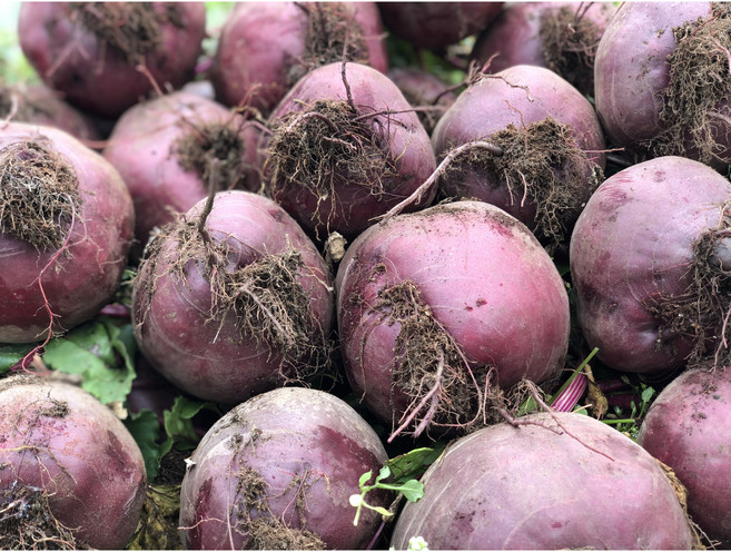 제주도 레드비트 로얄과 무농약 겨울비트, 1박스, 10kg