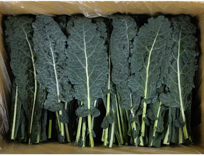 싱싱한 뉴그린 1kg 2kg (1.8~2kg) 박스 잎브로콜리 토스카노 중량별, 1개