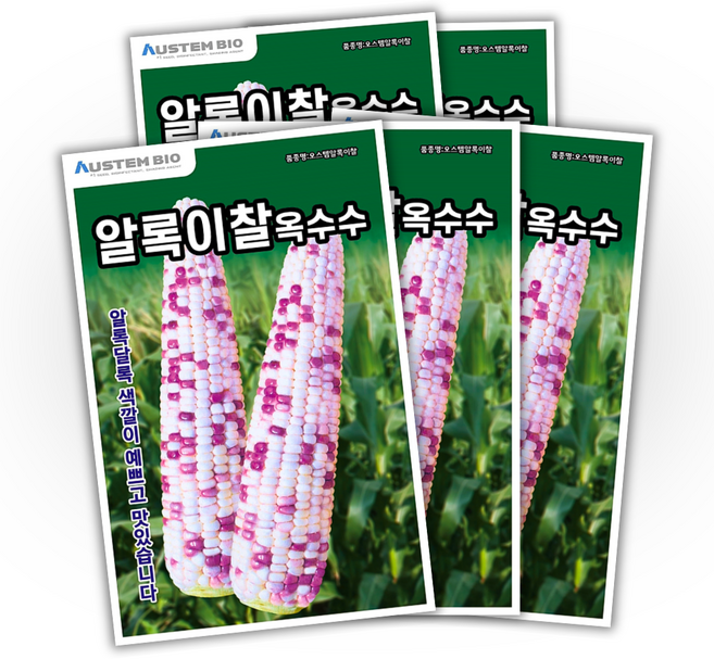 주주씨앗 알록이찰옥수수 씨앗 150립 얼룩찰옥수수 씨앗 다수확 통큰 옥수수, 5개