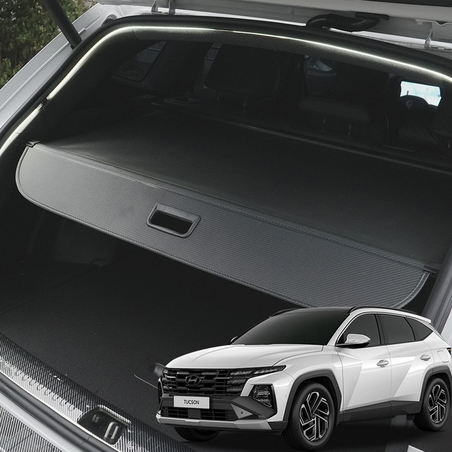 윙가디움 차량용 러기지 스크린 튜닝 악세사리 용품 카본 스타일