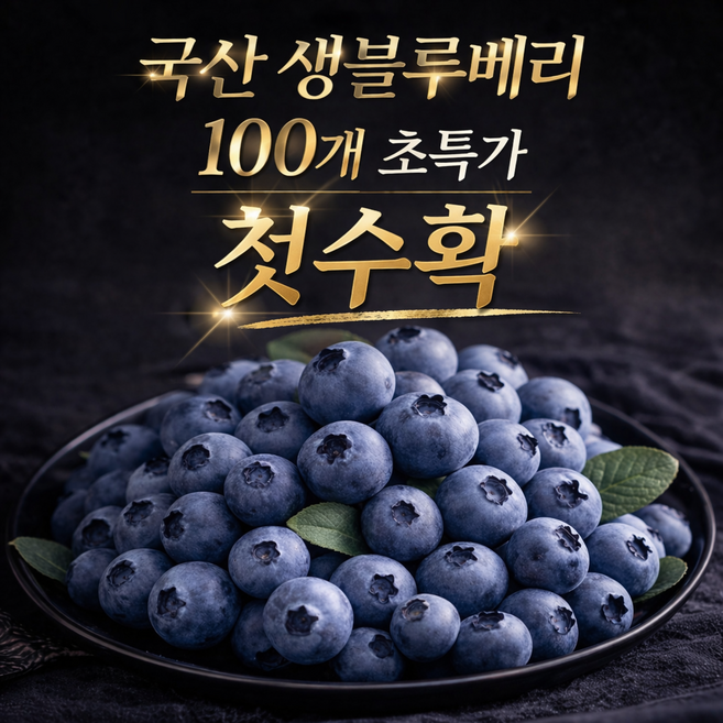프리미엄 고당도 국산 생 블루베리 당일수확, 1박스, 100g