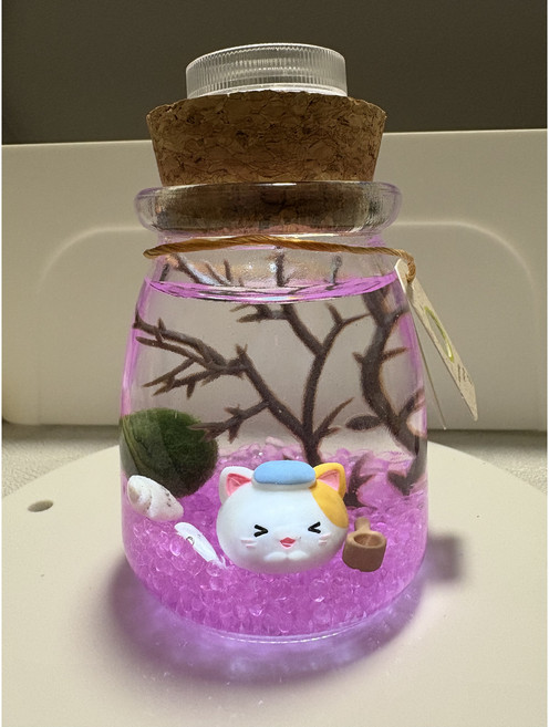 鼻水豚 Marimo 療癒景觀生態瓶 DIY, 1個