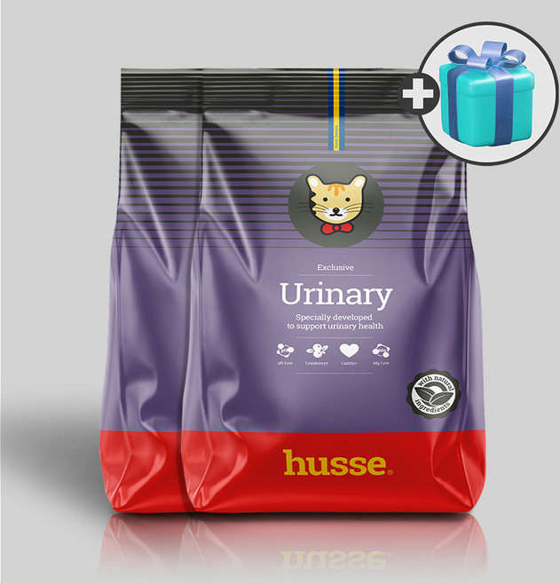 후새 캣 유리너리 + 우리집상전 사은품, 2.72kg, 1개, 닭