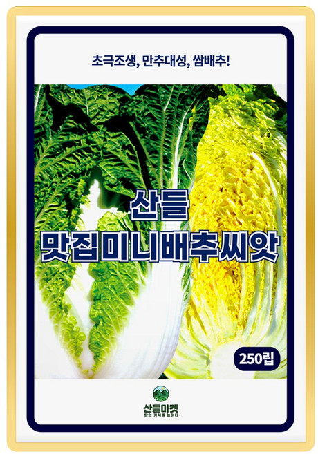 산들 맛집미니 배추 씨앗 250립 초극조생 봄 가을 알배기 쌈배추씨 종자, 1개