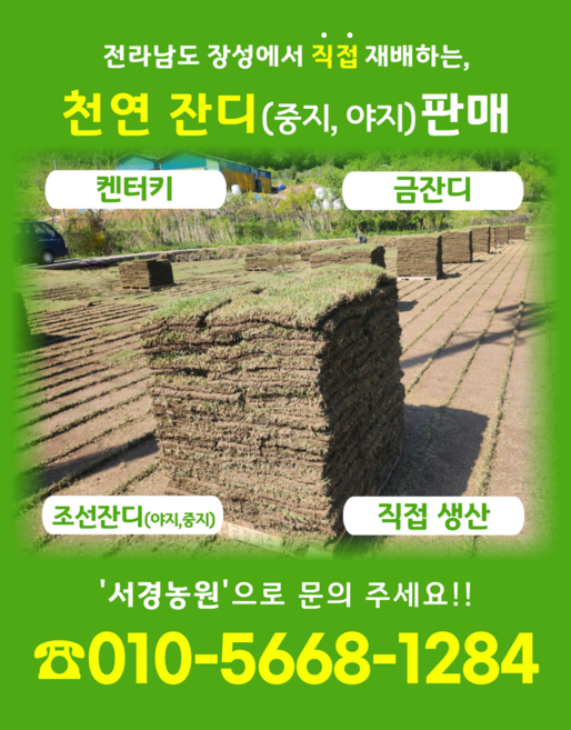 서경농원 천연잔디 큰장100장 착불 상품 400X600사이즈, 100개