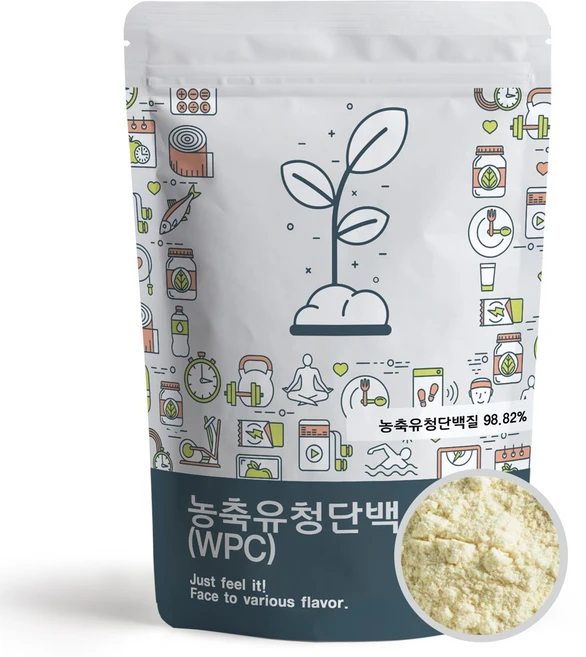 푸른빈 WPC 농축 유청 단백질 분말 가루, 1kg, 1개 - 쿠팡