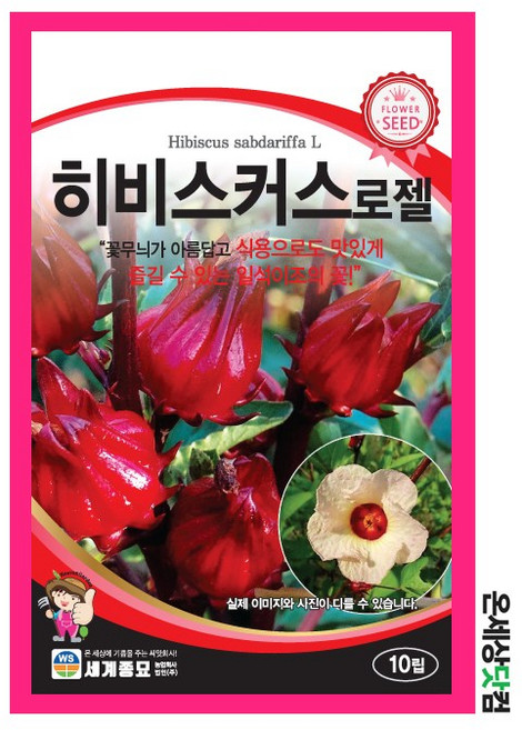 히비스커스 로젤 10립 / 일년생 다년생 꽃씨 종자 식용식물 허브, 2개