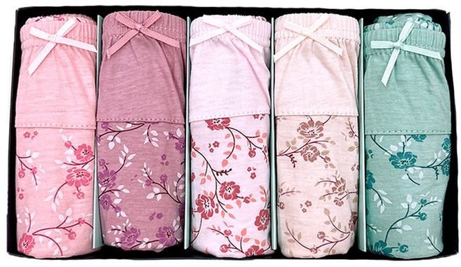 엘에이스 파스텔 빅사이즈 할머니 실켓 순면 100% 맥시 여자팬티 5종세트 602