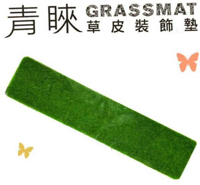 ABEL 力大 66819 青睞草皮裝飾墊 長條型仿真草皮 美化居家環境 安全無毒材質, 1個