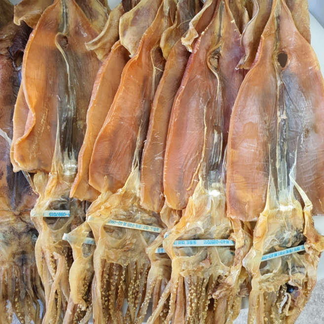 마른오징어 국내산, 1개, 380g 5미 (원양산)