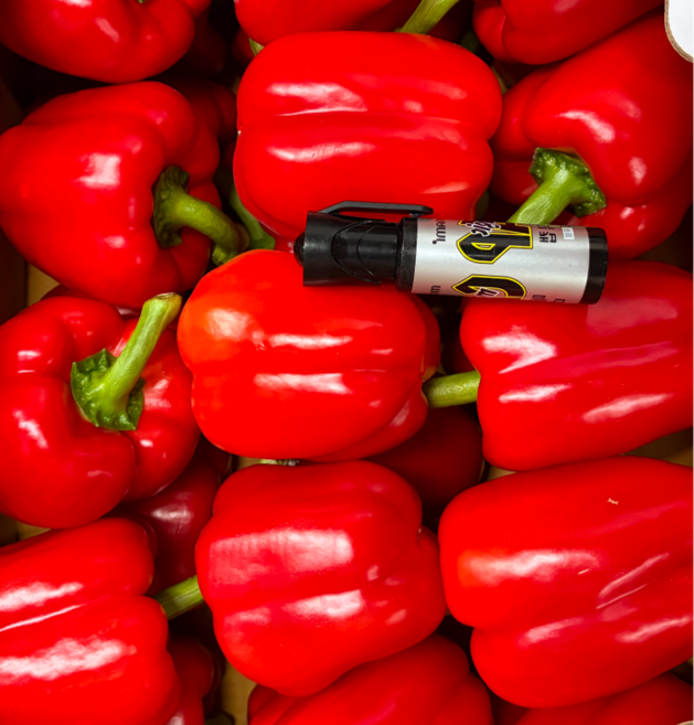 국내산 파프리카 빨강 유기농 식자재 마트 샐러드용 가락시장 도매납품, 1개, 1kg