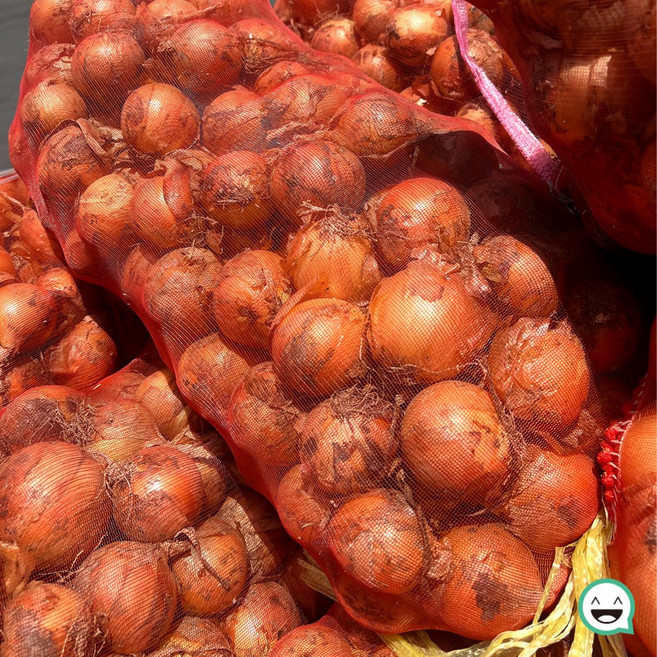 국내산 양파 경남 산지직송, 1박스, 양파 5kg / 중