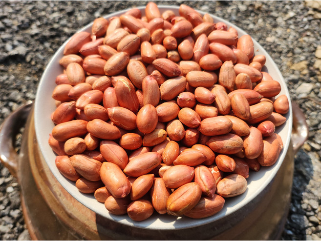 국산땅콩 직접농사지은 여주 볶은땅콩, 1박스, 1kg