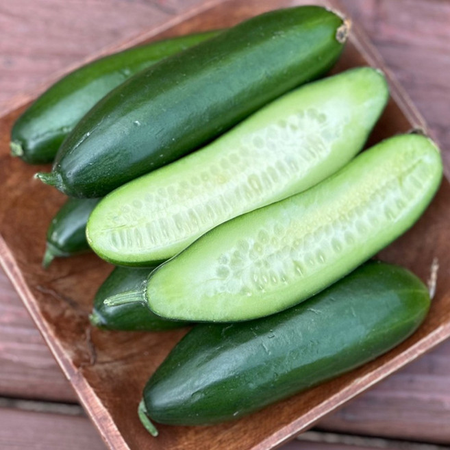 산지직송 국내산 미니오이 500g 아삭한 미니스탑 스낵오이, 1박스