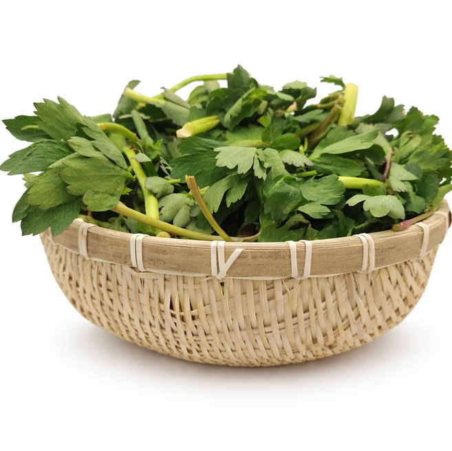 국내산 여수 방풍나물 생나물 제철나물, 1박스, 4kg