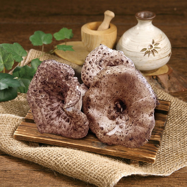 25년수확 자연이 빚은 천년의 향 양양 능이 버섯, 1박스, 500g