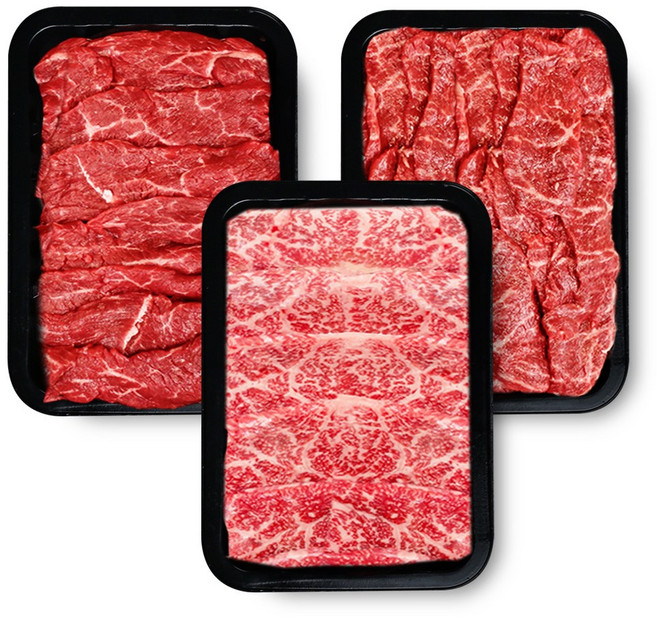 오늘선별 1++ 투뿔 한우 모듬 구이 한판 600g, 1세트