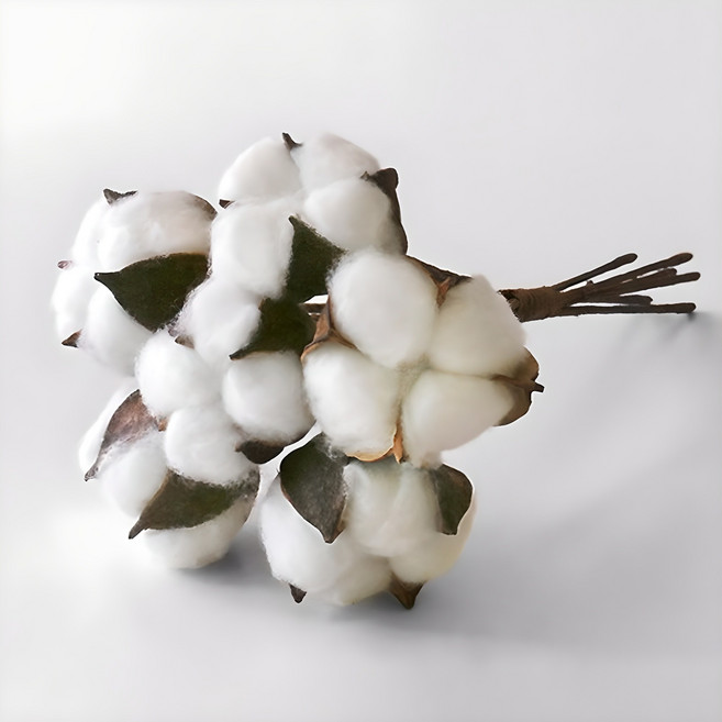 블루밍앤미 미니 목화 묶음 6p, 혼합 색상