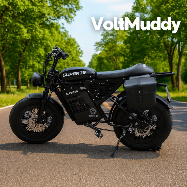 VoltMuddy 20인치 전기 펫 바이크 전동 자전거 오프로드 출퇴근 배달 산악 mtb, 13A, D