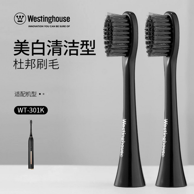 전동 칫솔 헤드 2개 적합한 모델 WT-301G/301F/301K/301GF, 04 Clean type WT15