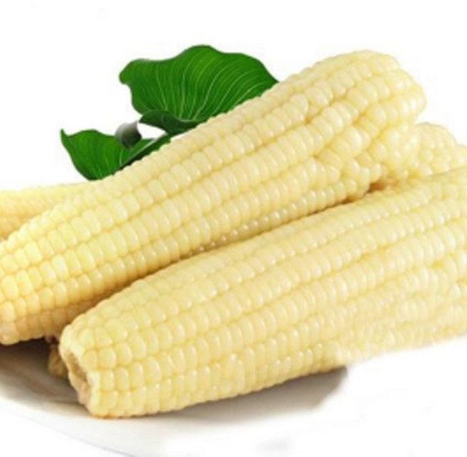 냉동 맛있는 찰옥수수 백찰(하얀색) 대 특대, 20개, 진짜 대(16~18cm)