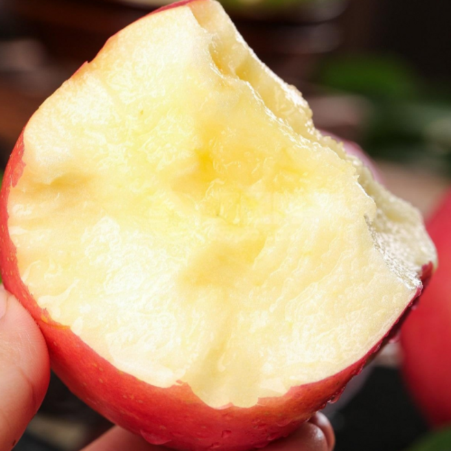 [맛에진심] 신선직송 한정특가 초고당도 문경사과, 1개, 3kg