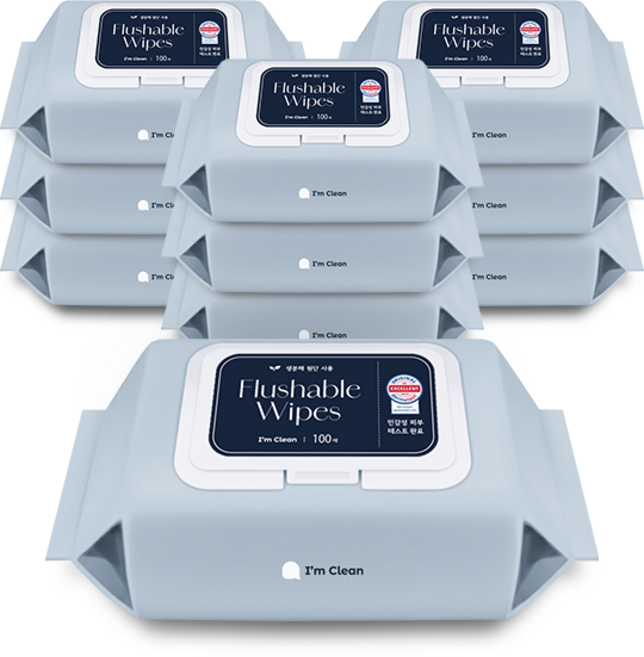 아임클린 저자극 비데 물티슈 캡형, 60g, 100매입, 10개