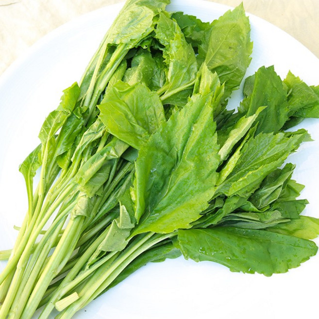 국내산 생 부지깽이 쑥부쟁이 신선 나물, (생)부지깽이 400g, 1개, 400g