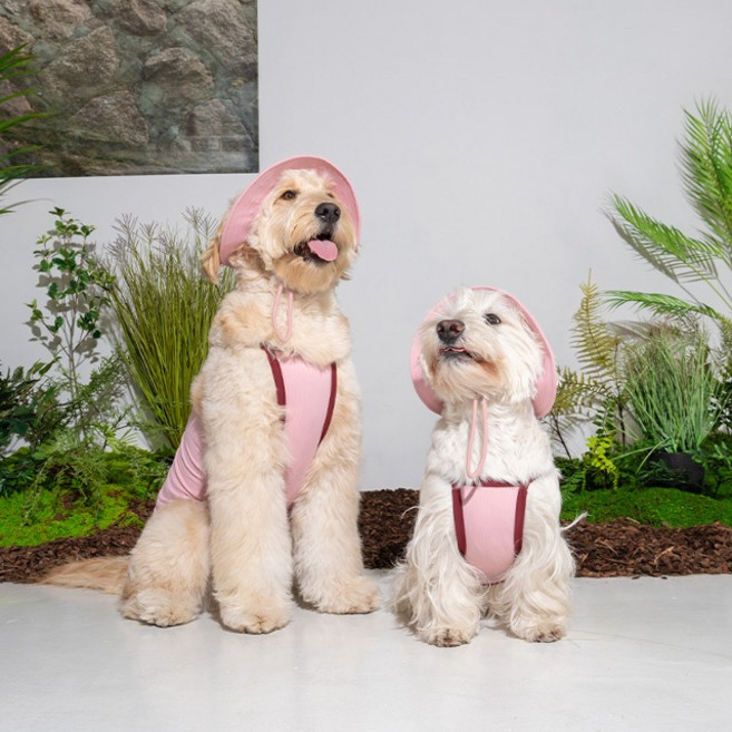 (S-2XL) 퍼피갤러리 아웃사이드 쿨링 버킷 햇 강아지 모자 대형견모자, 블루