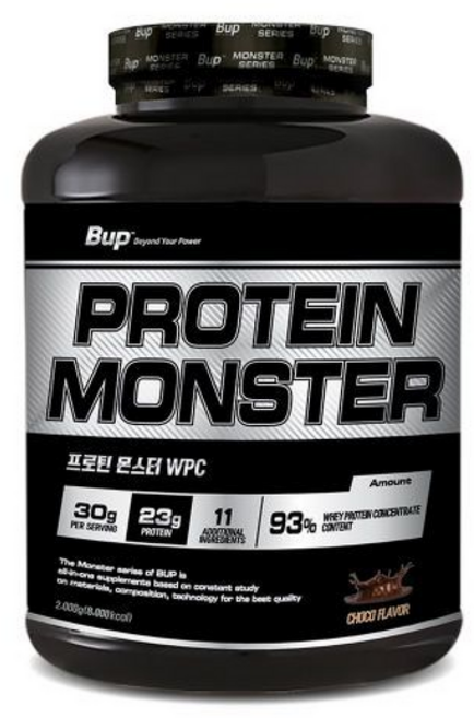 프로틴몬스터 WPC 93% 초코맛 단백질 보충제 프로틴, 1개, 2kg