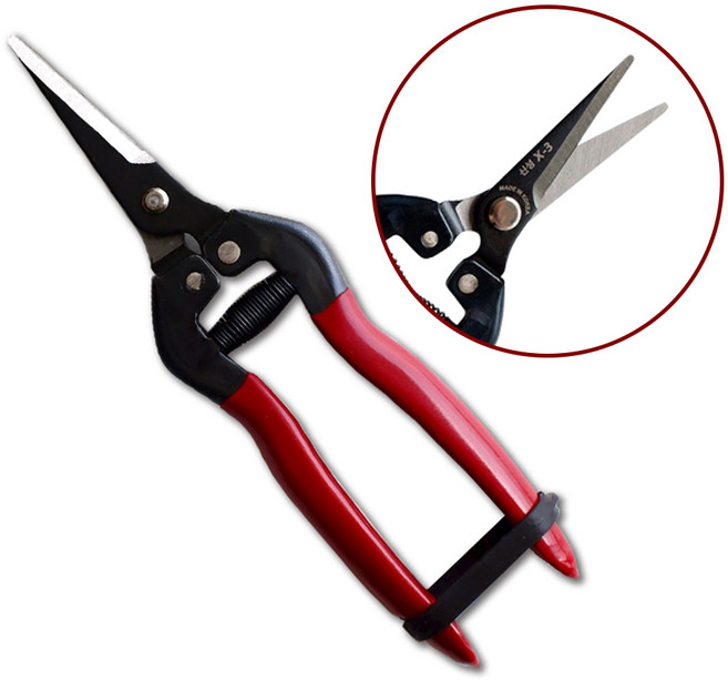 신성 고급적과가위 전정 전지 원예 플로리스트 X3, 1개