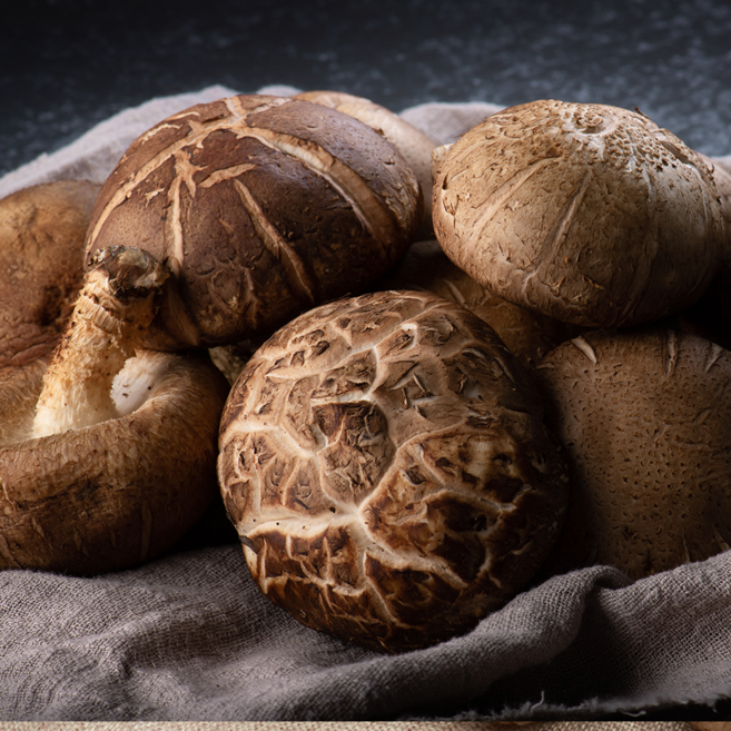 [국산 참나무배지 배양]국내산 생 표고버섯 향이진한 신선한버섯 산지직송 당일수확 1kg, 1박스, 1kg(중품)