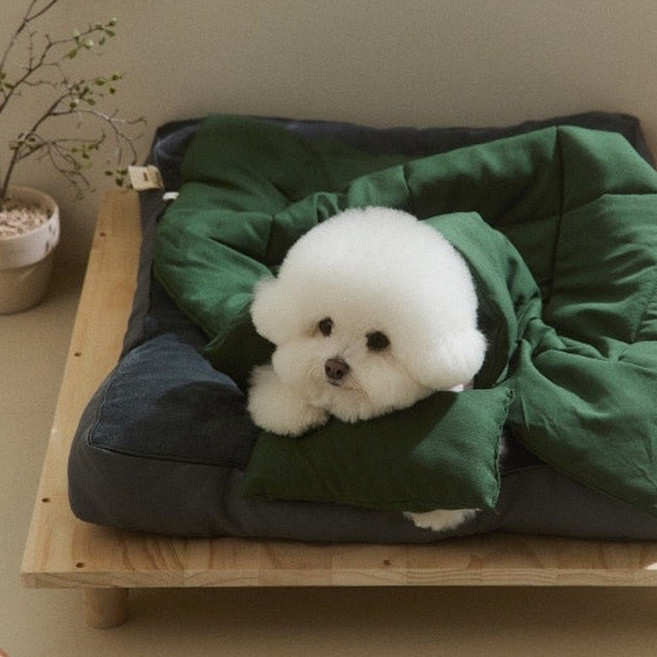 뭉연구소 아기궁뎅이 콩섬유 강아지 이불 담요 베개 세트, 1개, 딥그린