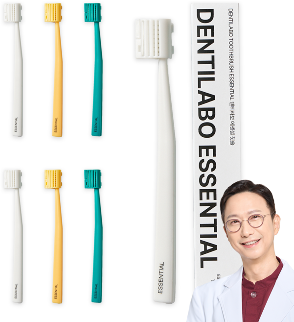 덴티라보 에센셜 작은 헤드 세줄 보통모 치과 의사 칫솔, 1박스, 6개입