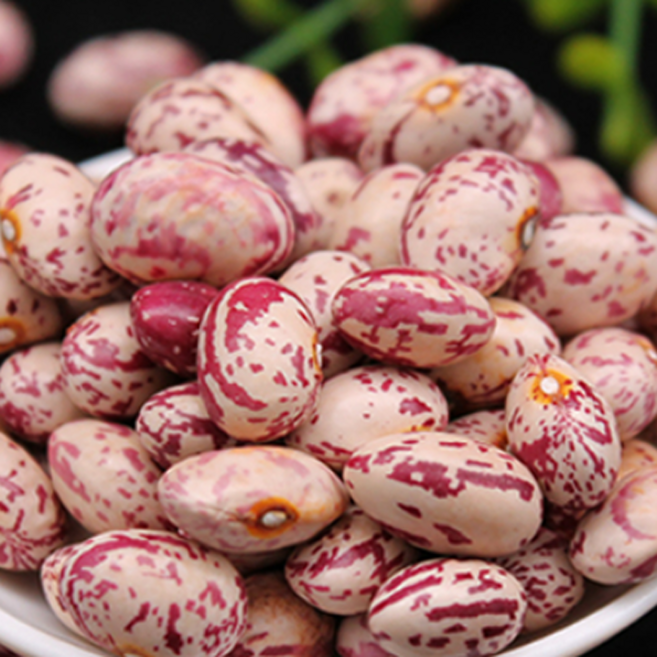 [프리미엄등급] 껍질깐 국내산 건조 호랑이콩, 1박스, 500g