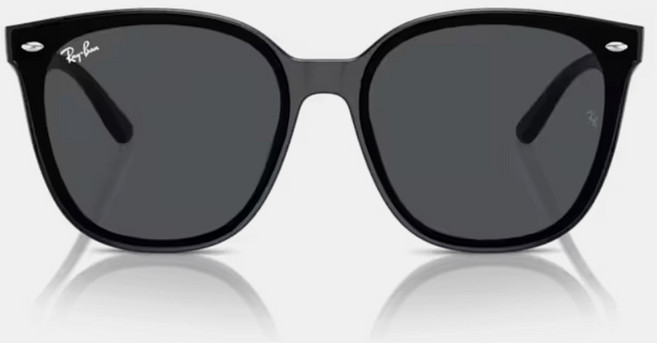 레이벤 RB4423D 오버사이즈 둥근 플랫바 패션 뿔테 선글라스