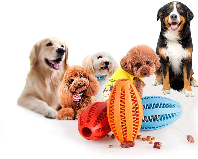 샤인월드 반려동물 올리브 모먕 노즈워크, 1개, 그린