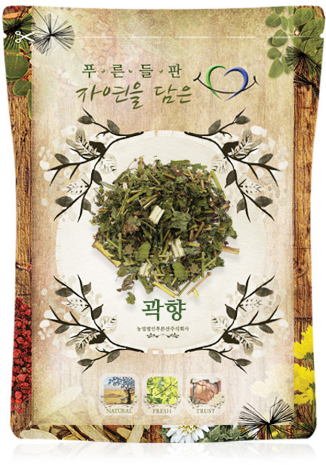 푸른들판 국내산 곽향 말린 방아잎 차 배초향, 500g, 1개